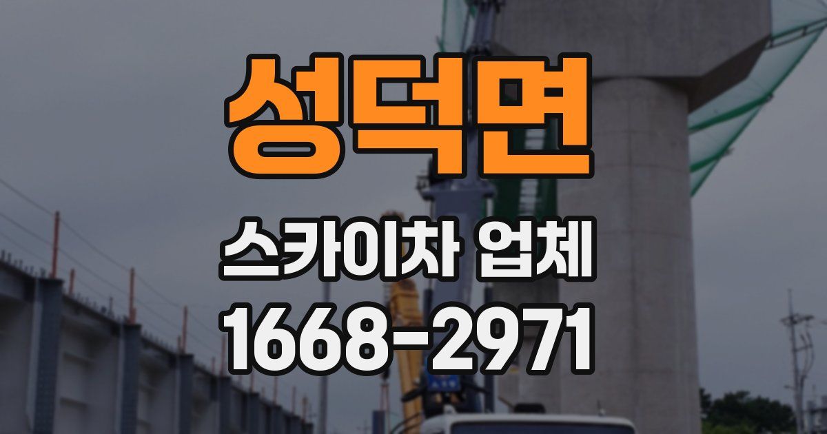 성덕면 스카이차 업체