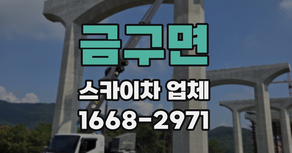 금구면 스카이차 업체