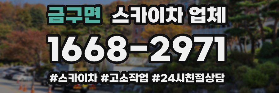 금구면 스카이차 업체