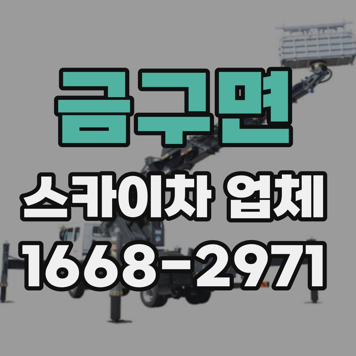 금구면 스카이차 업체