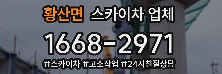 황산면 스카이차 업체