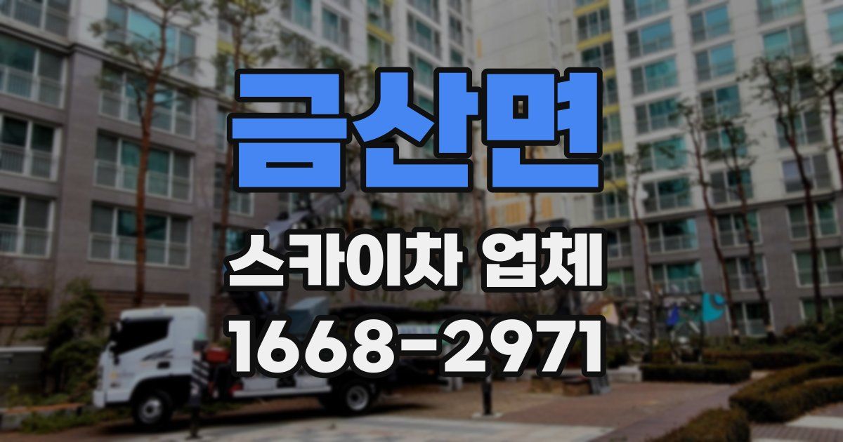 금산면 스카이차 업체
