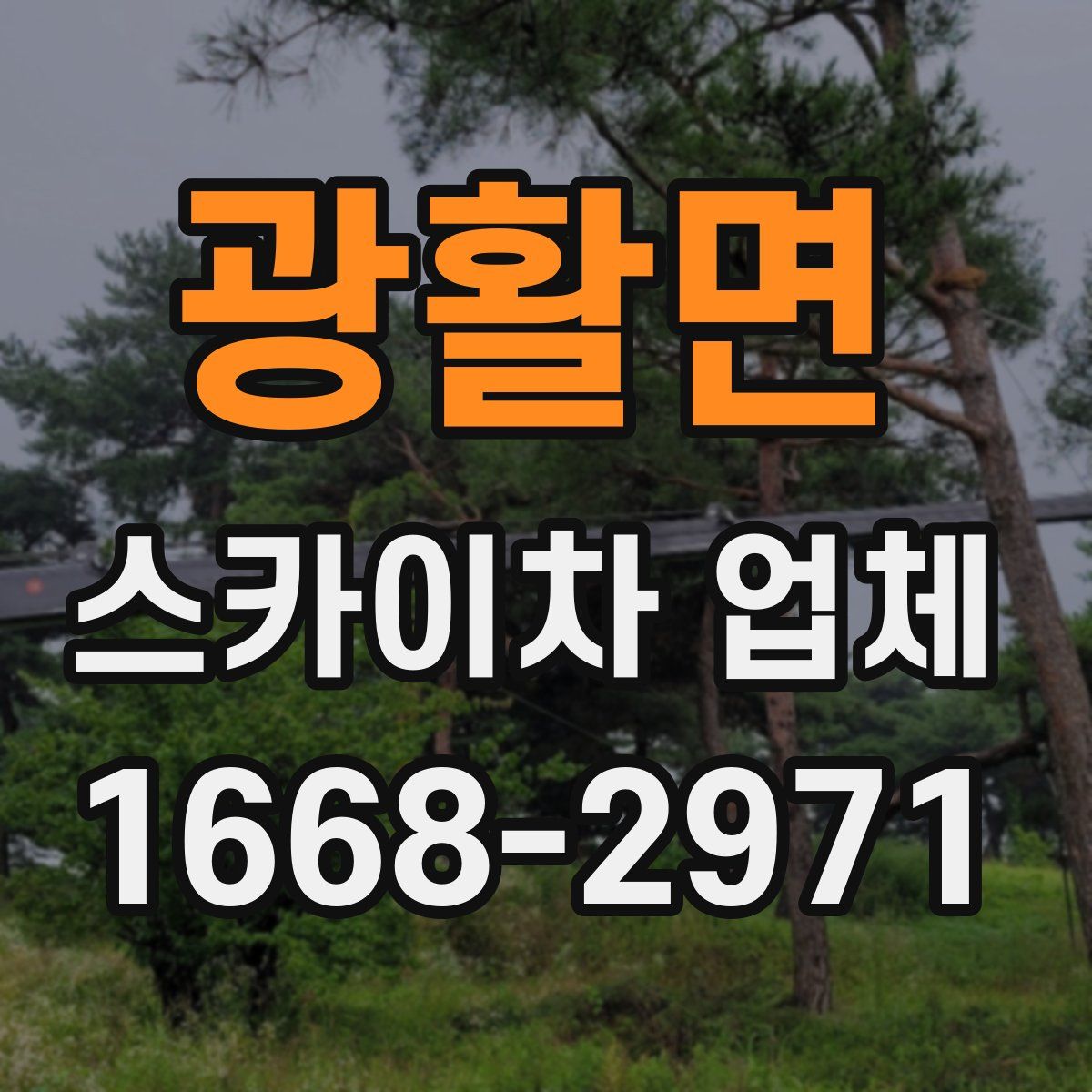 광활면 스카이차 업체