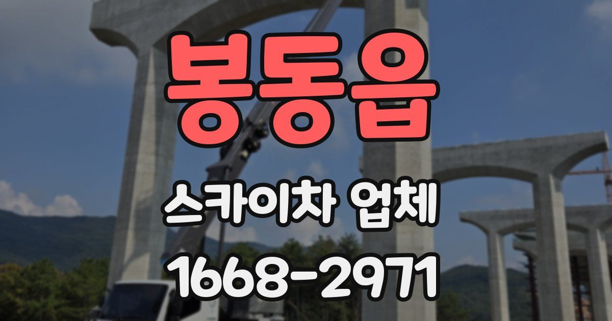 봉동읍 스카이차 업체