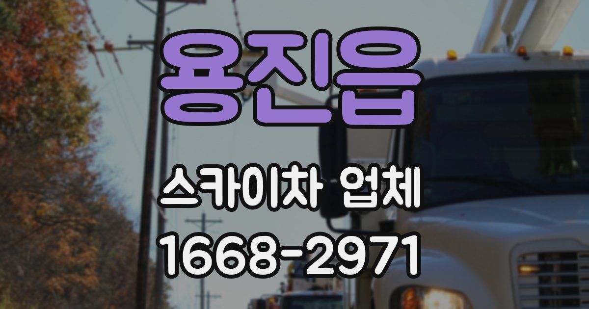 용진읍 스카이차 업체