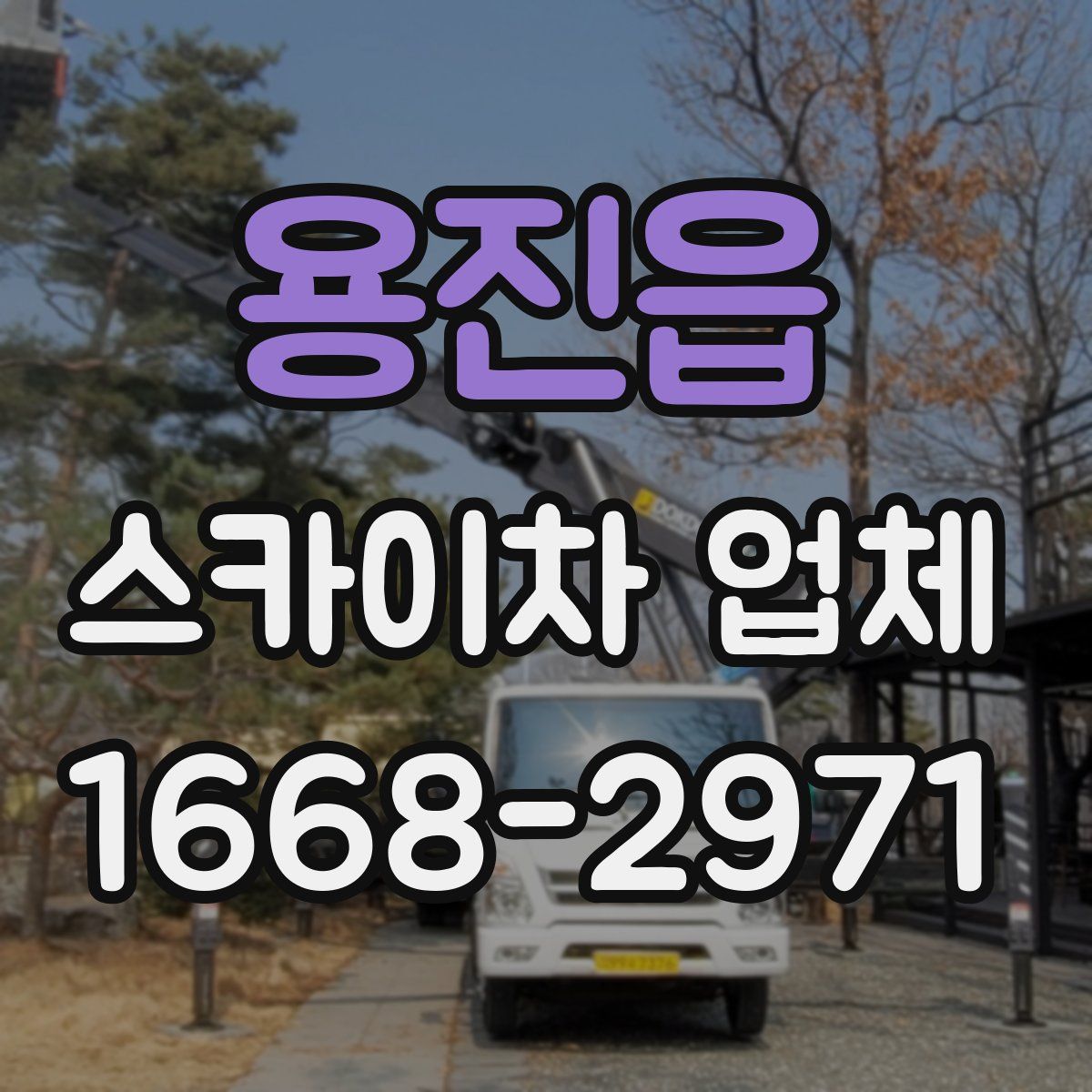 용진읍 스카이차 업체