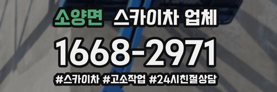 소양면 스카이차 업체