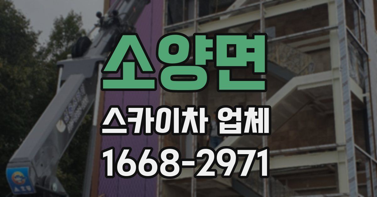 소양면 스카이차 업체