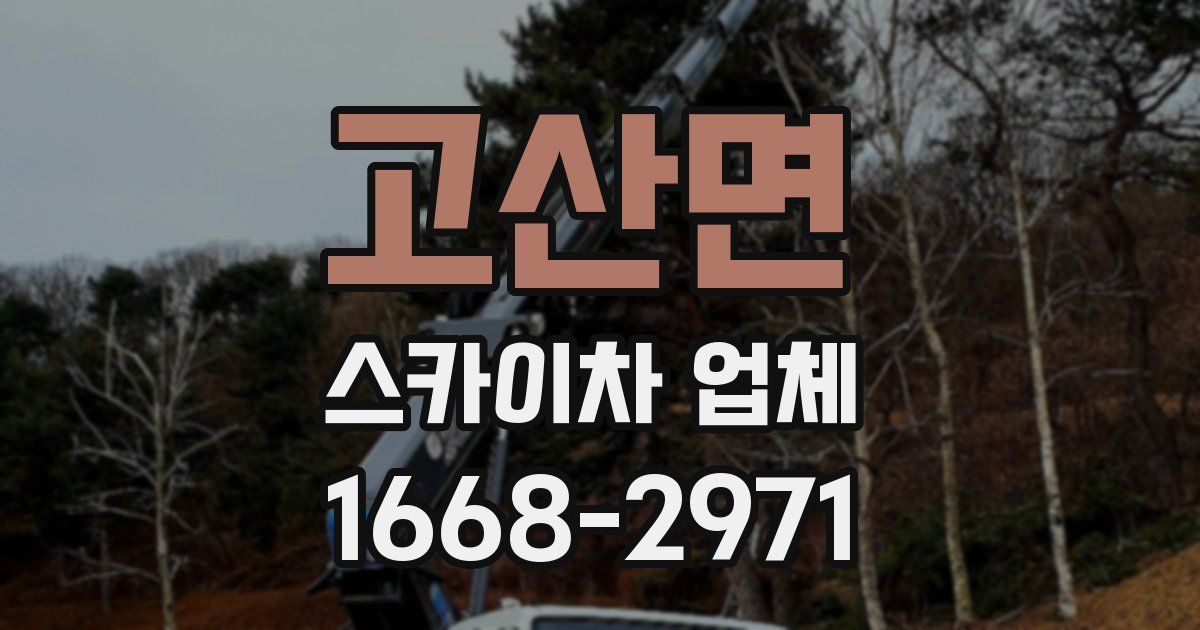 고산면 스카이차 업체