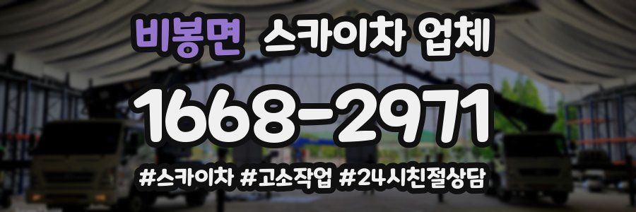 비봉면 스카이차 업체