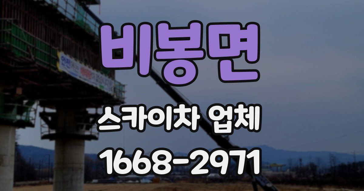 비봉면 스카이차 업체