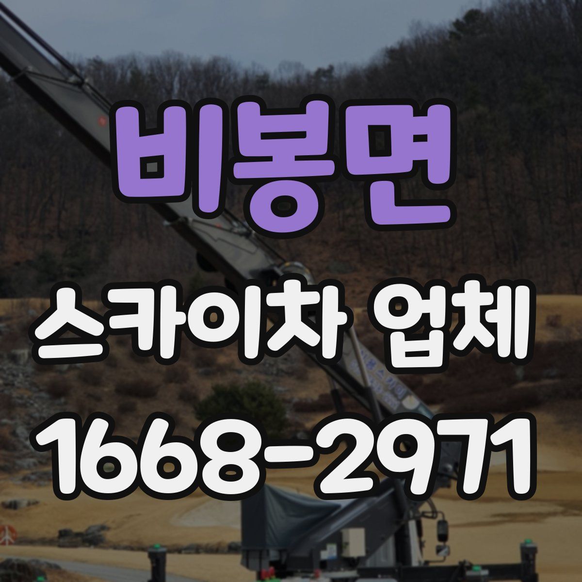 비봉면 스카이차 업체