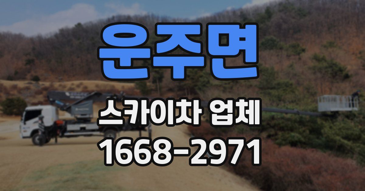 운주면 스카이차 업체
