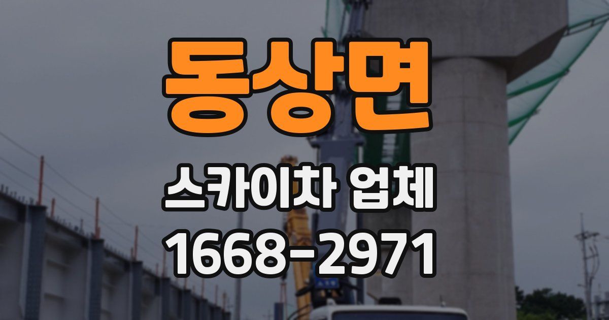 동상면 스카이차 업체