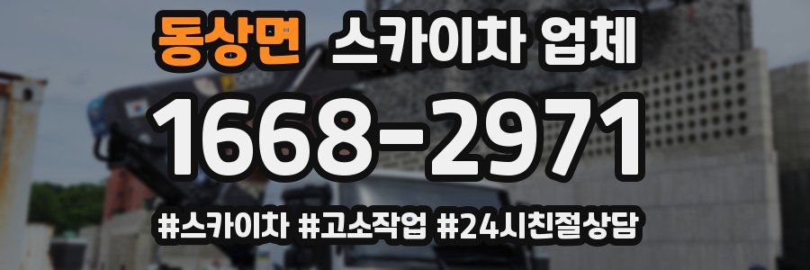 동상면 스카이차 업체