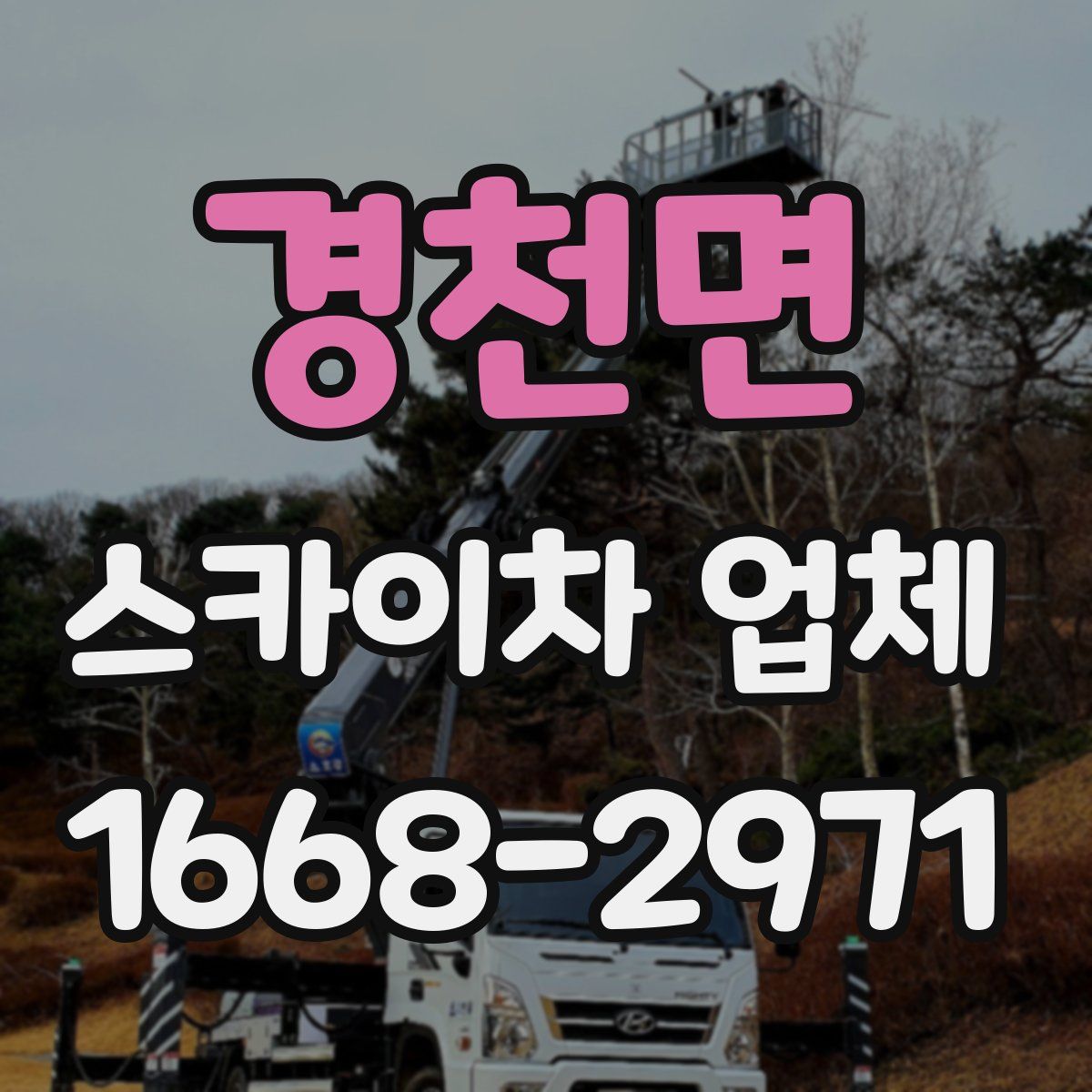 경천면 스카이차 업체