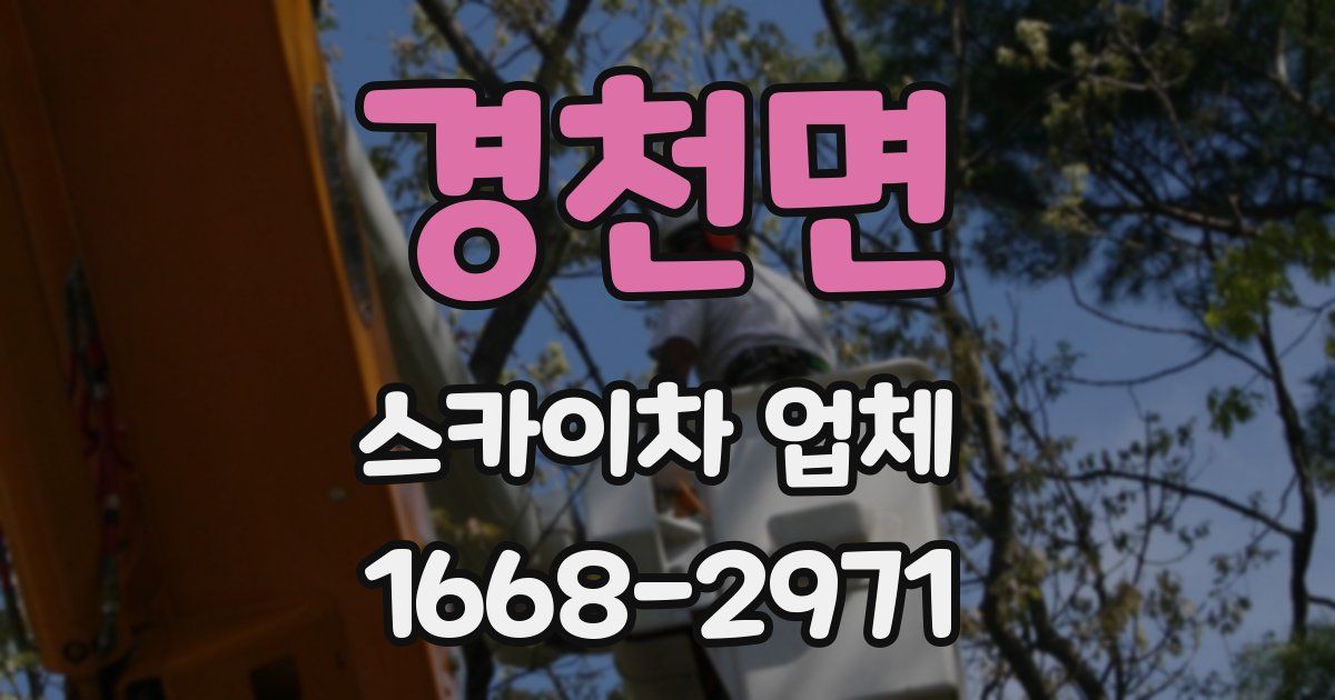 경천면 스카이차 업체