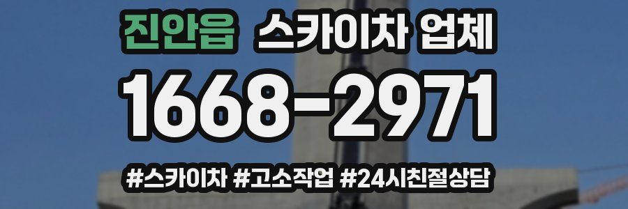 진안읍 스카이차 업체