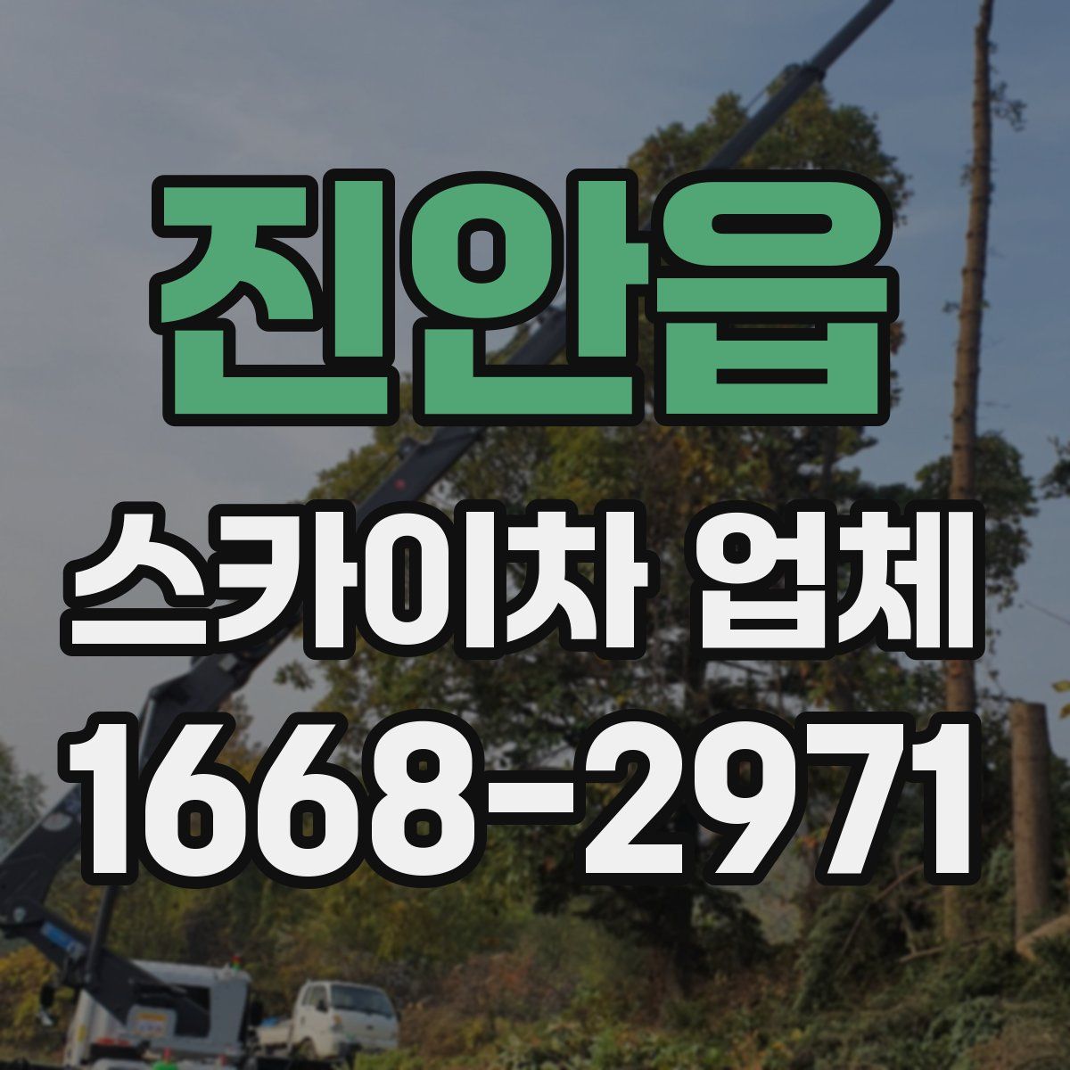 진안읍 스카이차 업체