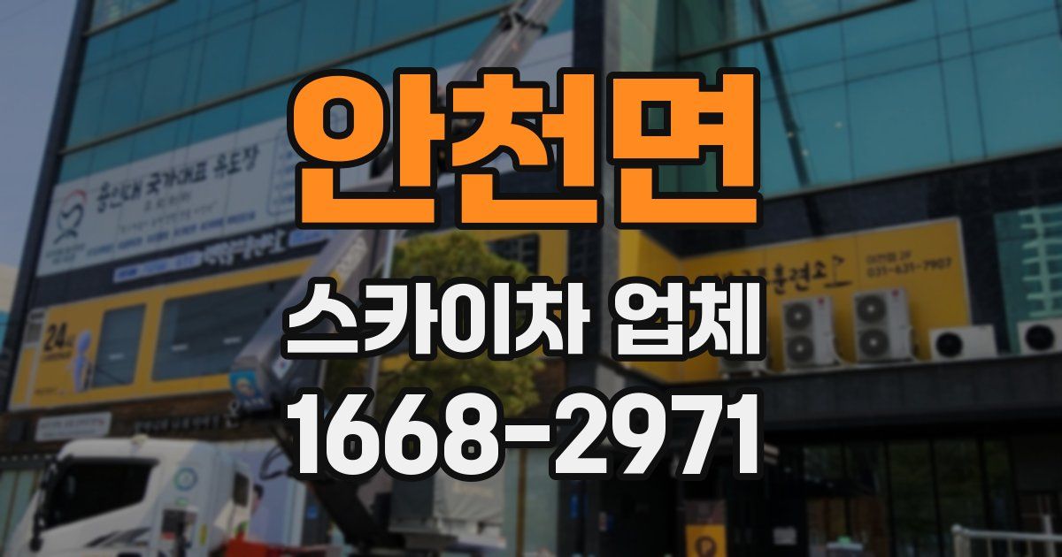 안천면 스카이차 업체
