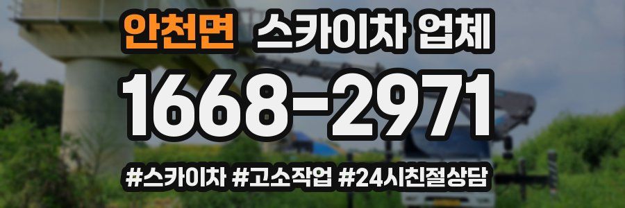 안천면 스카이차 업체