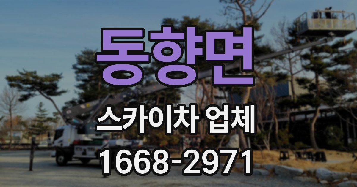 동향면 스카이차 업체