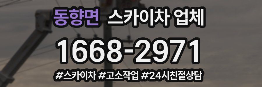 동향면 스카이차 업체