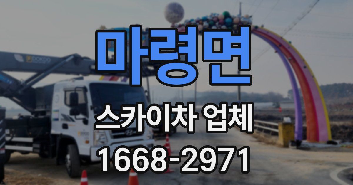 마령면 스카이차 업체
