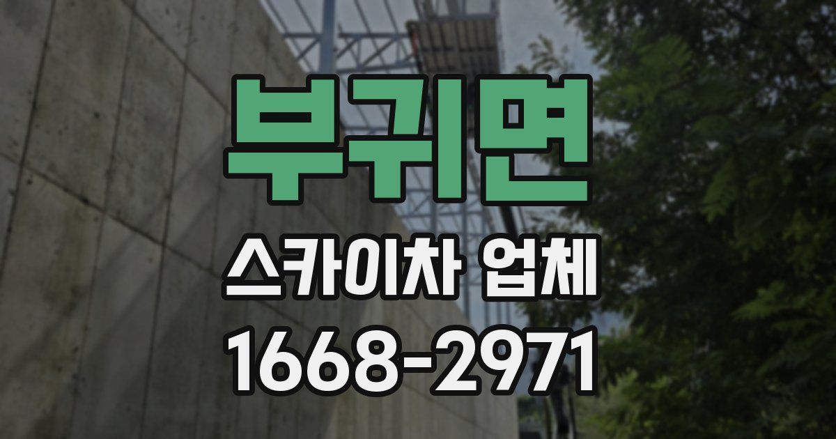 부귀면 스카이차 업체