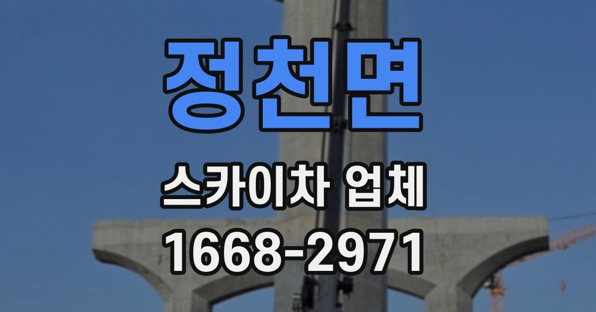 정천면 스카이차 업체