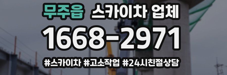 무주읍 스카이차 업체