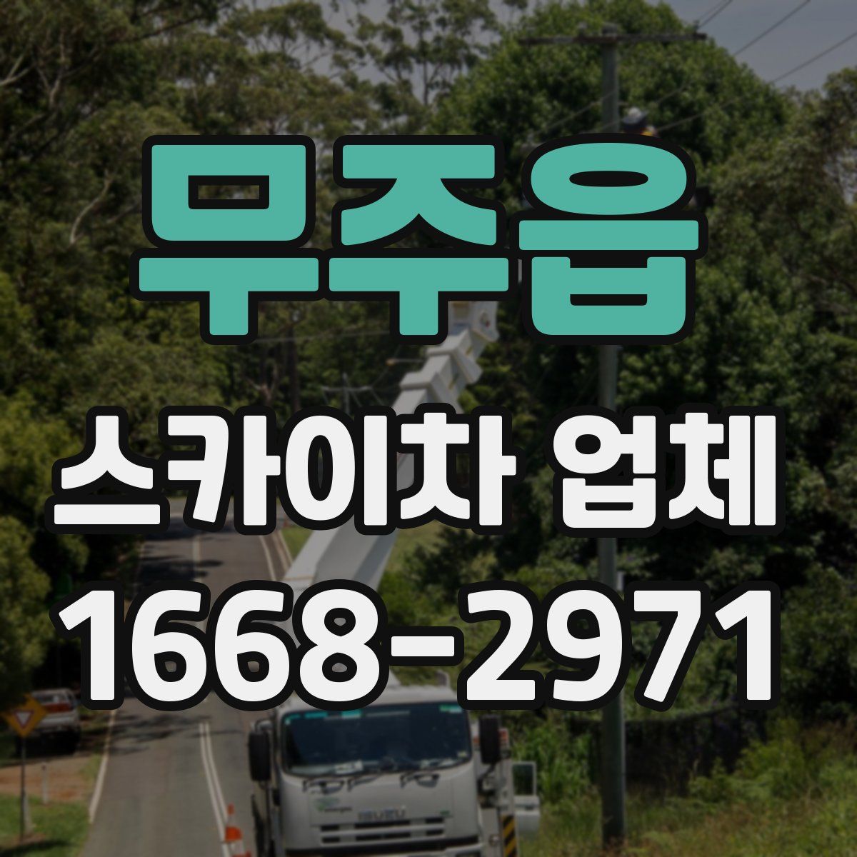무주읍 스카이차 업체