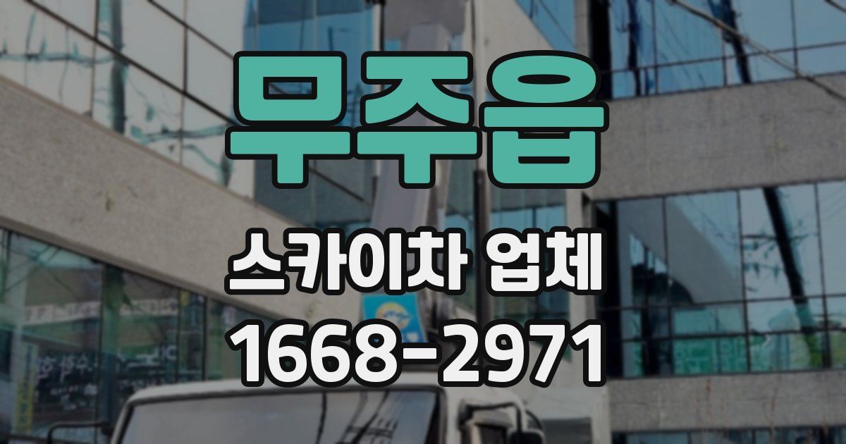 무주읍 스카이차 업체