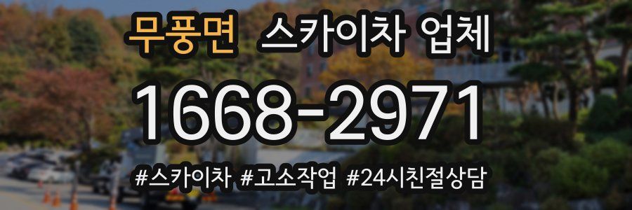 무풍면 스카이차 업체