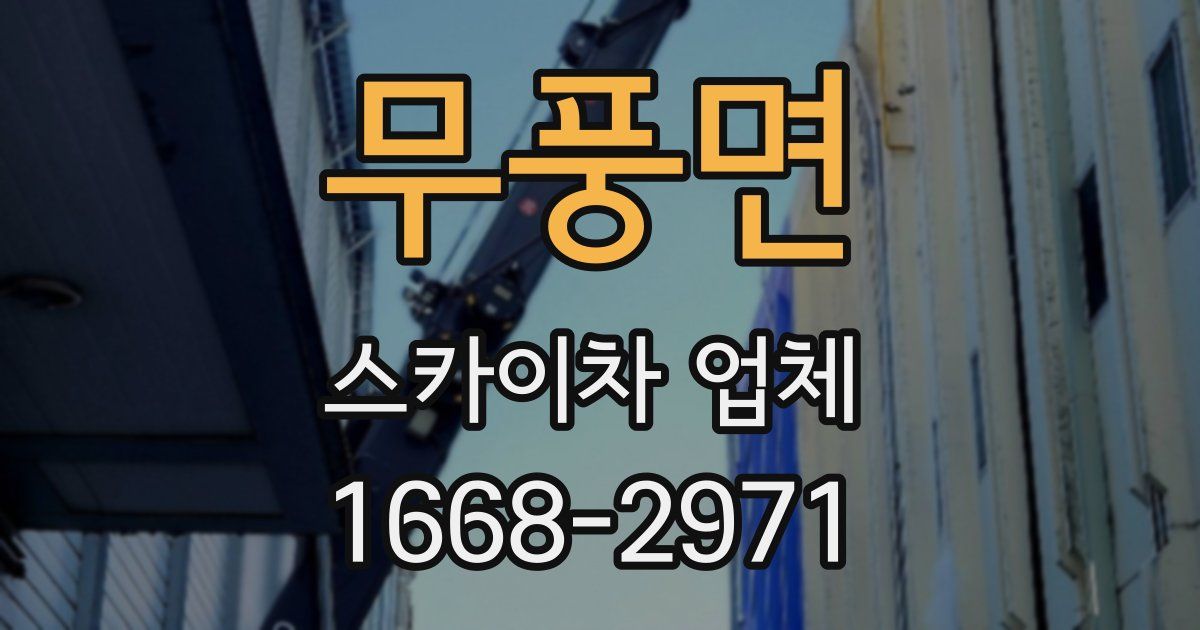무풍면 스카이차 업체