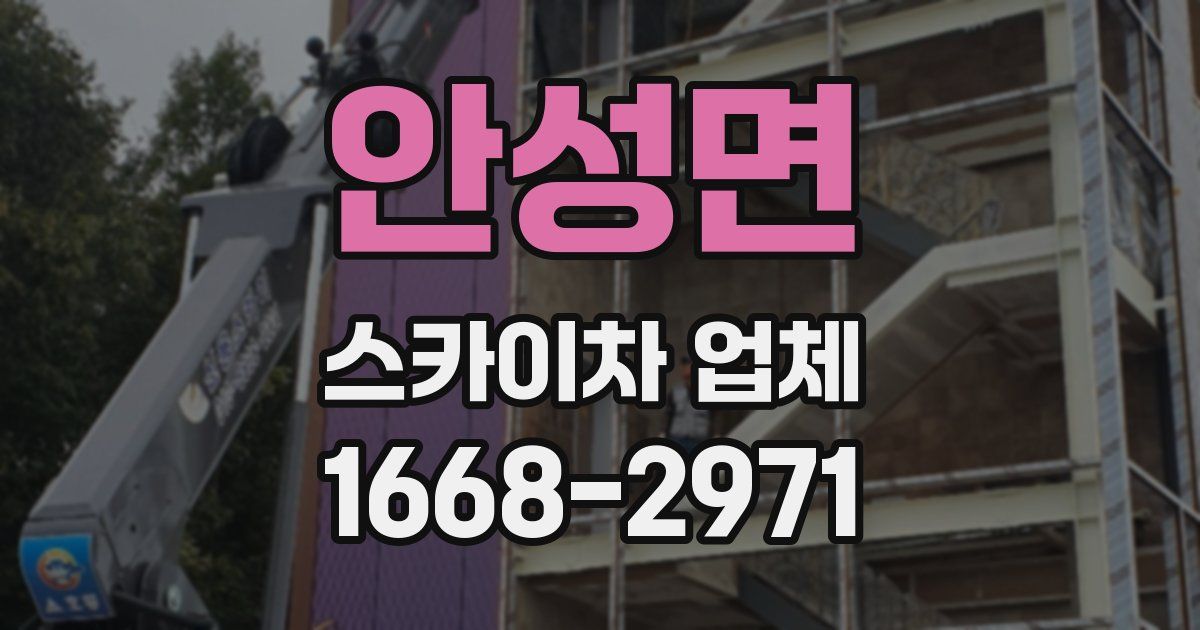 안성면 스카이차 업체