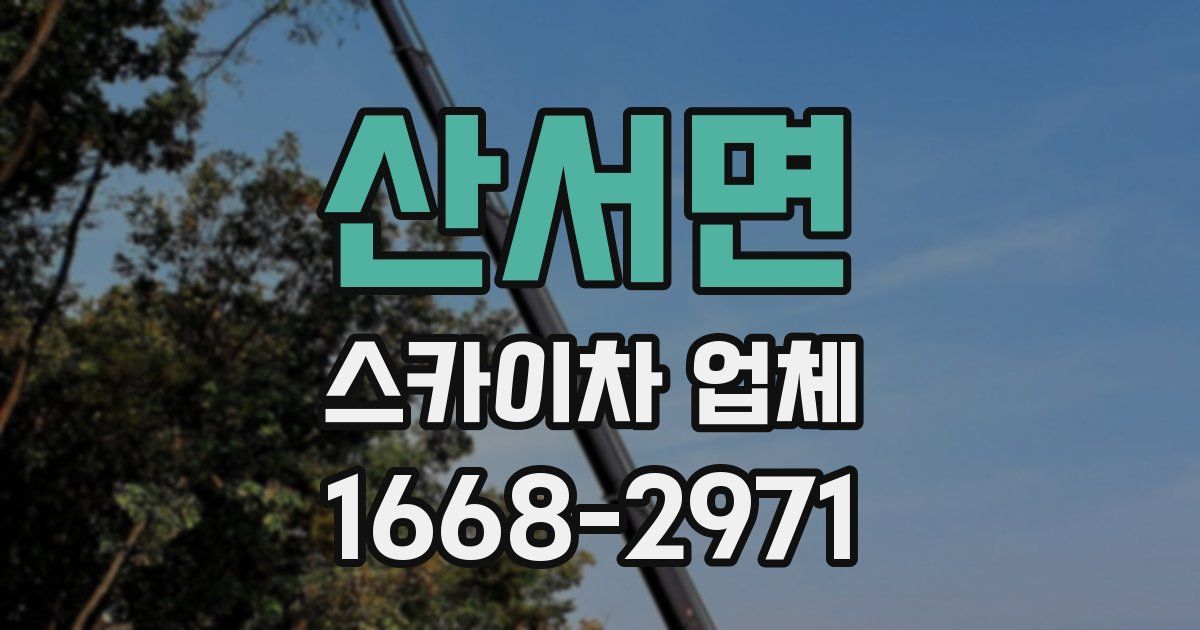 산서면 스카이차 업체