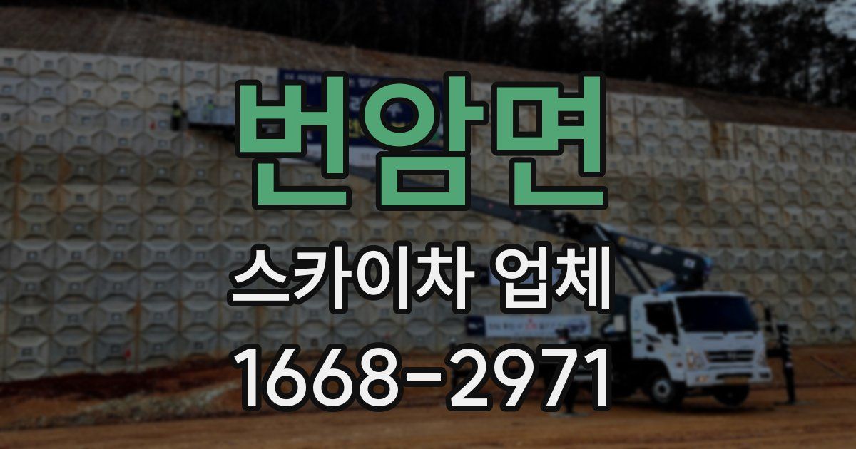 번암면 스카이차 업체