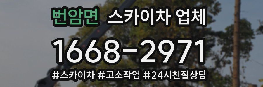 번암면 스카이차 업체