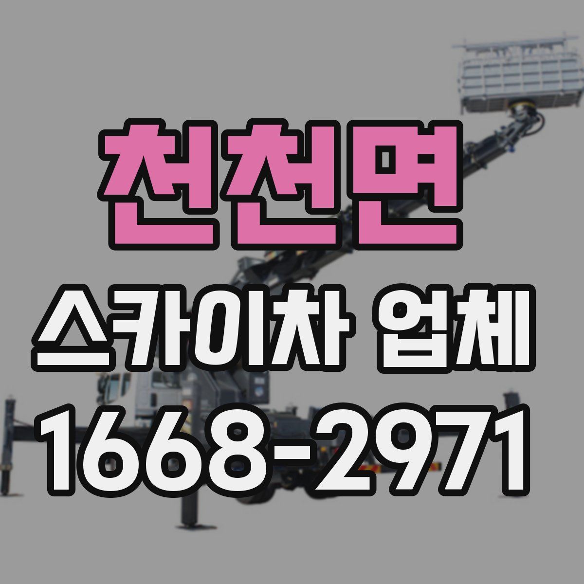 천천면 스카이차 업체