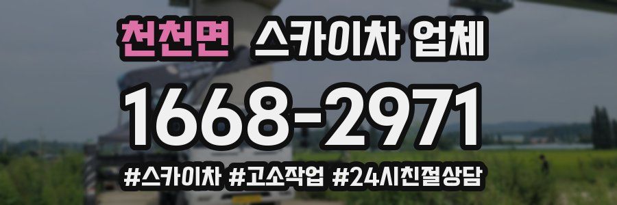 천천면 스카이차 업체