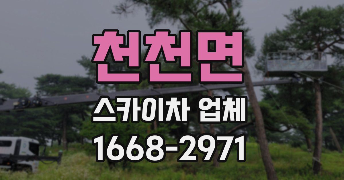 천천면 스카이차 업체