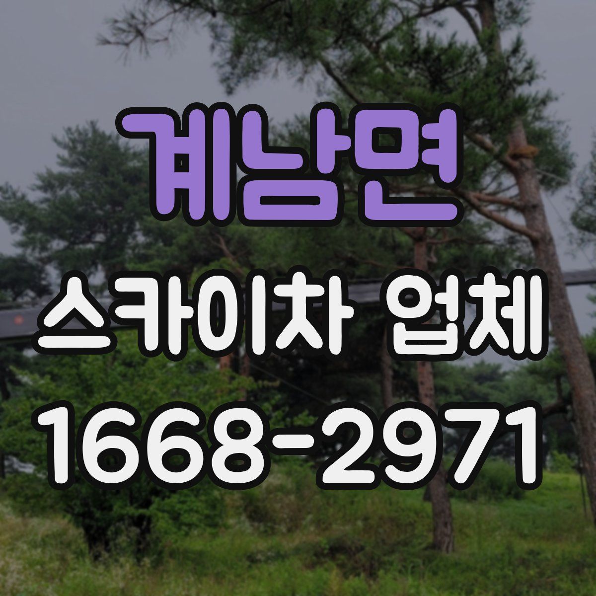 계남면 스카이차 업체
