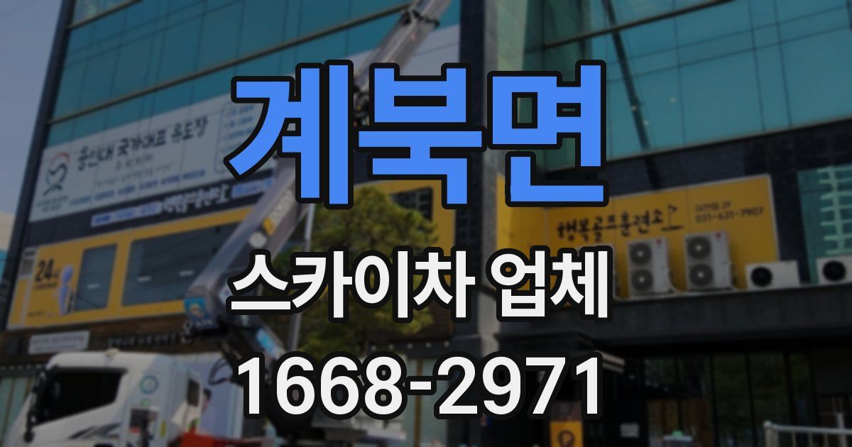 계북면 스카이차 업체