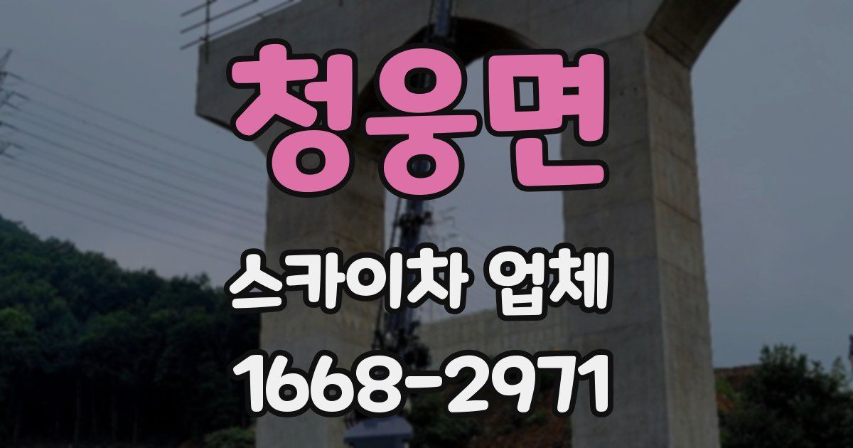 청웅면 스카이차 업체