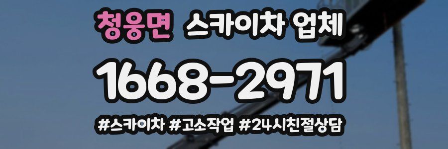 청웅면 스카이차 업체