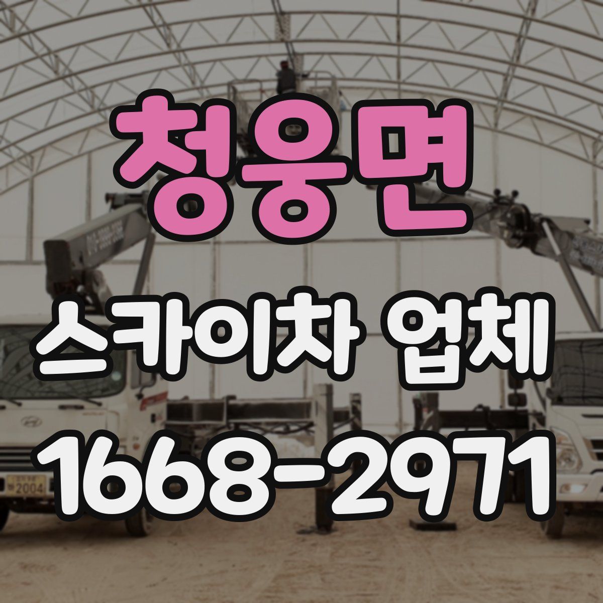 청웅면 스카이차 업체