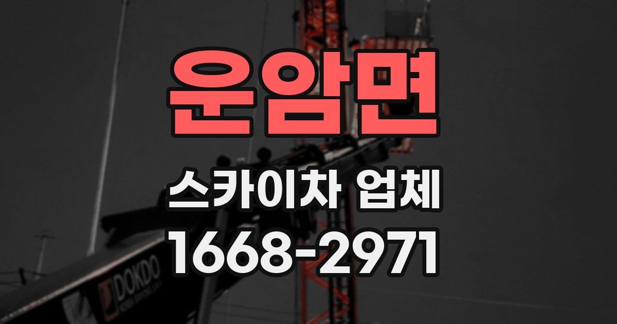 운암면 스카이차 업체