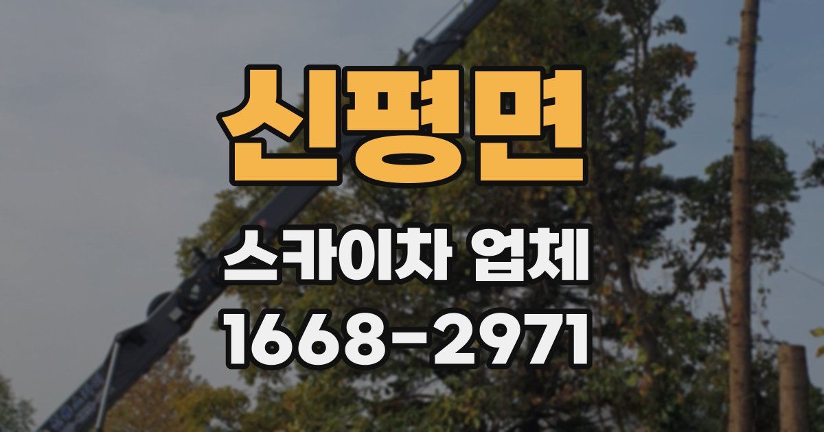 신평면 스카이차 업체