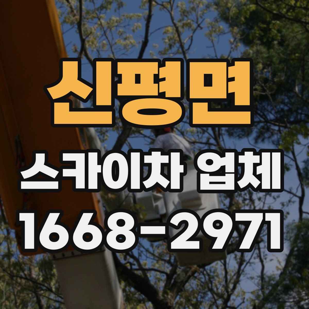 신평면 스카이차 업체